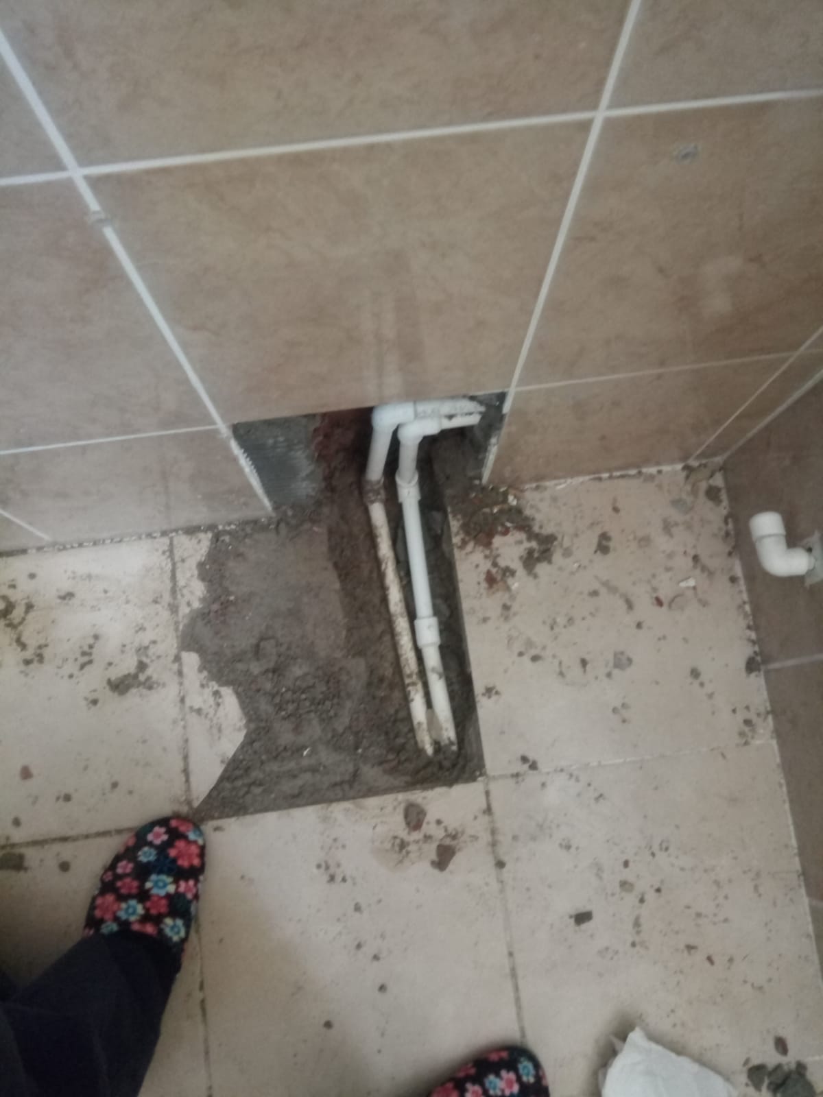 Mareşal Fevzi çakmak